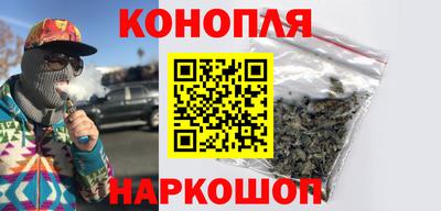 гашик Новозыбков