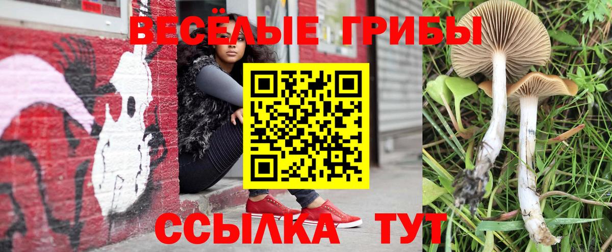 Галлюциногенные грибы мицелий Туапсе
