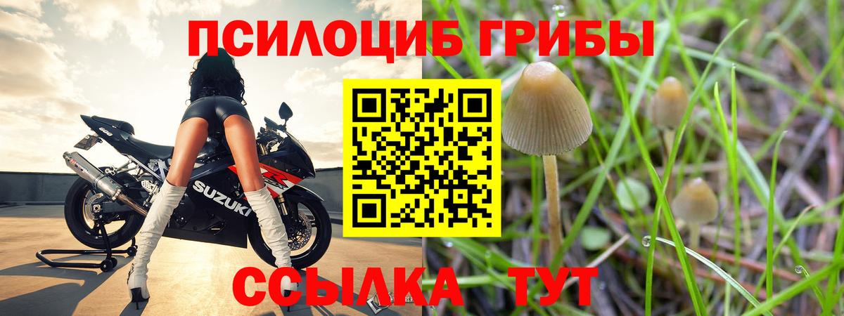 Галлюциногенные грибы мухоморы  закладки  Туапсе  Псилоцибиновые грибы Cubensis  Вход с VPN 